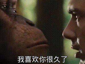 推荐 12 个学习前端必备的神仙级工具类项目与网站